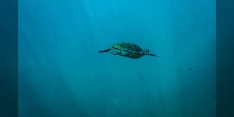 Carlos Slim vs. reforma a pensiones de AMLO; sería un ‘retroceso de 26 años’, advirtió