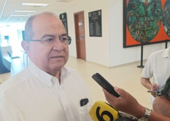 Como un “pecado” califica diputado de Morena la corrupción hallada en Salud