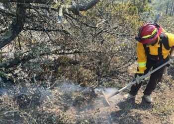 Refuerza Gobierno del Estado acciones coordinadas para el control de incendio forestal en Miquihuana