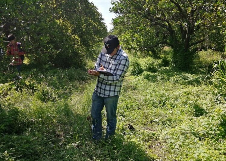 Desarrolla la UAT un proyecto para evaluar los residuos contaminantes de agroquímicos en el suelo