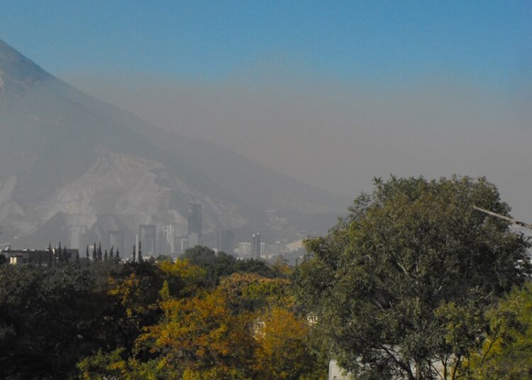 Estudia la UAT el impacto de la urbanización y contaminación en la vegetación en México