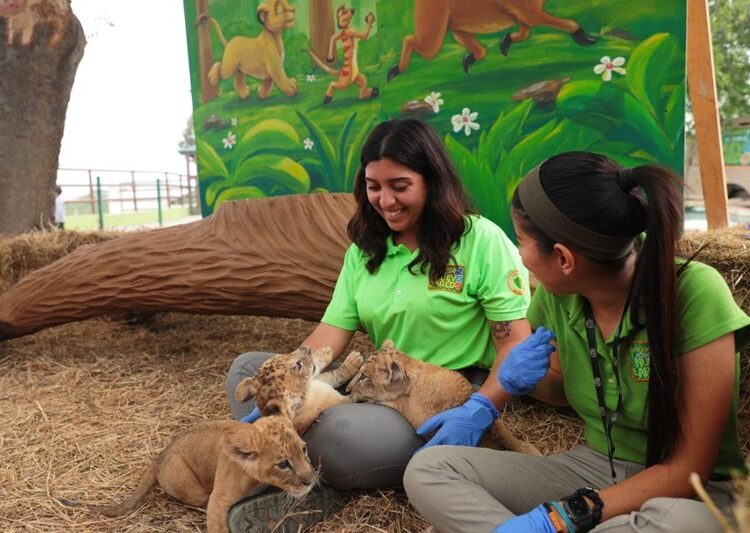 Abren convocatoria para programa “Zoomos Voluntarios”