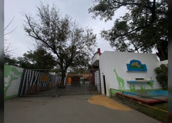 Ante las bajas temperaturas cierran Zoo y Parque Tamatán martes y miércoles