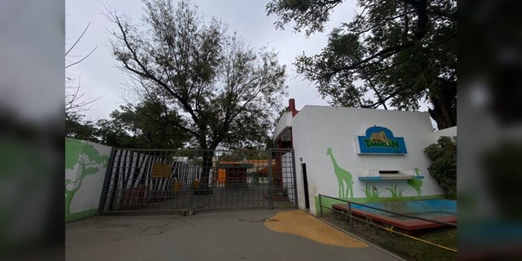 Ante las bajas temperaturas cierran Zoo y Parque Tamatán martes y miércoles