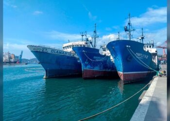 Adelanta Segalmex reparto de apoyos en Tamaulipas