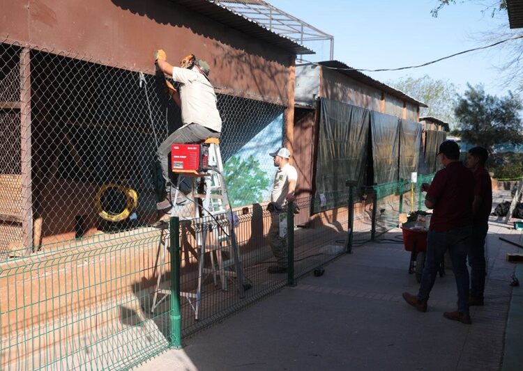 Implementa Zoo de NLD medidas preventivas ante Frente Frío 25