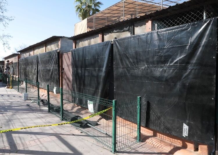 Implementa Zoo de NLD medidas preventivas ante Frente Frío 25