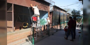 Implementa Zoo de NLD medidas preventivas ante Frente Frío 25