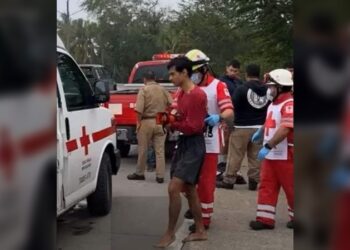 Joven fue atacado por cocodrilo en Tampico