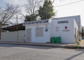 Protegen del frío a felinos y caninos rescatados en refugio municipal