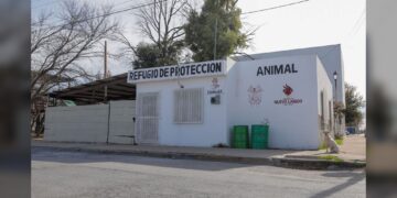 Protegen del frío a felinos y caninos rescatados en refugio municipal
