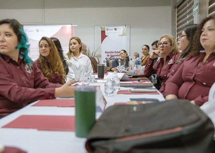 Reunión Estatal de Docentes de Inglés de las escuelas normales públicas