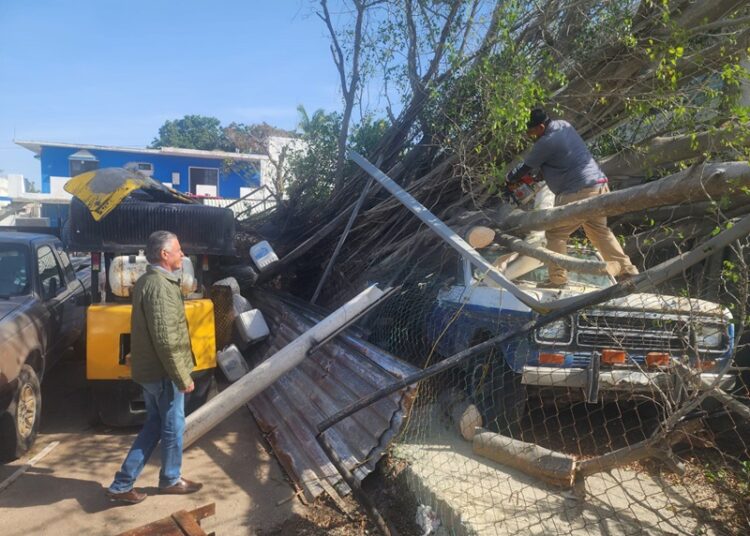 Supervisa Chucho Nader Labores de Limpieza por Afectaciones del Frente Frío