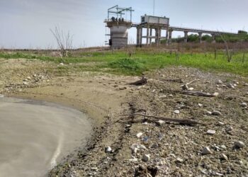 Baja nivel de la Vicente Guerrero: tiene menos del 10%