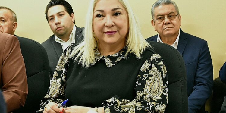 Descuentos del 100% en recargos de control vehicular en enero: ALR