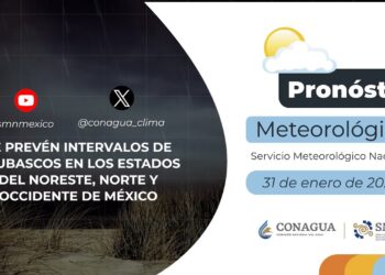 Pronóstico del Tiempo del 31 de enero de 2024