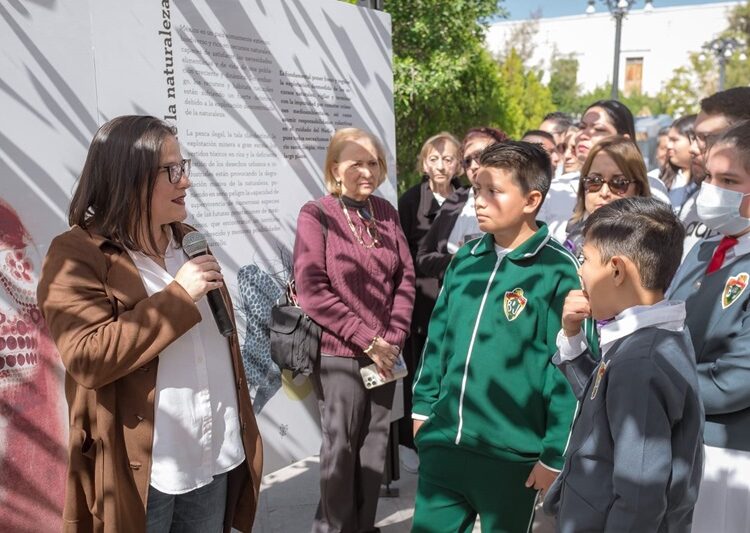 ‘Túnel de la Paz de Tamaulipas’ en Tula