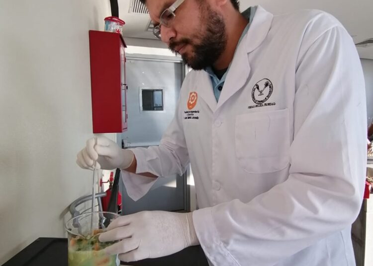 Identifica UAT plantas con potencial bioinsecticida