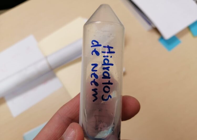 Identifica UAT plantas con potencial bioinsecticida