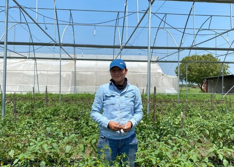 Identifica UAT plantas con potencial bioinsecticida