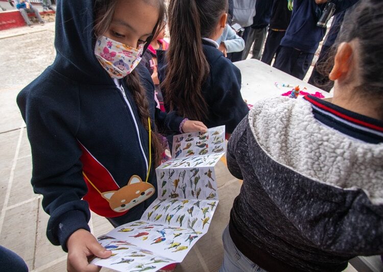 Promueve UAT actividades científicas para alumnas de escuelas primarias