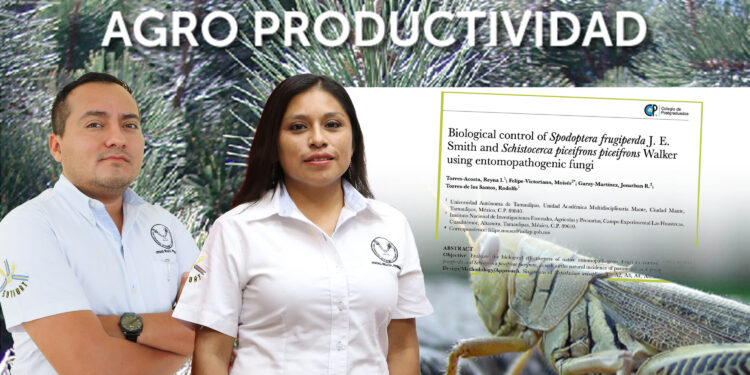 Destaca la UAT en investigaciones sobre el control biológico de plagas