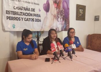 Activistas inician campaña para esterilizar animales callejeros