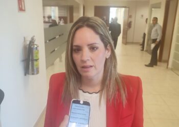 “Por primera vez, no se darán candidaturas a deudores alimentarios” : Ale Cárdenas