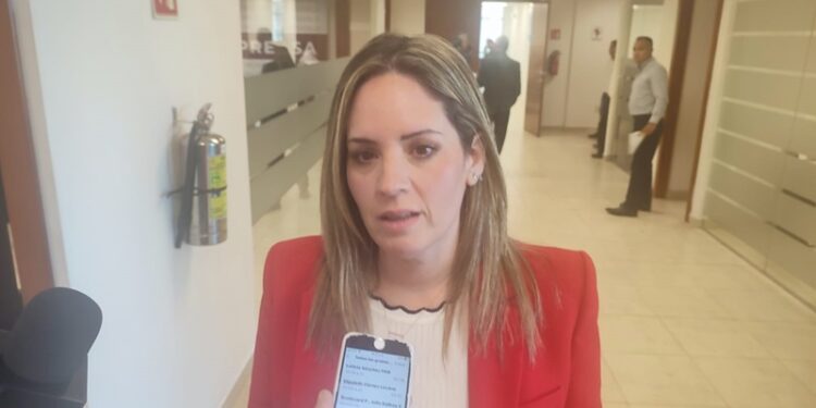 “Por primera vez, no se darán candidaturas a deudores alimentarios” : Ale Cárdenas