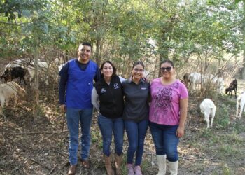 Analiza UAT innovaciones de mejoramiento para la producción caprina