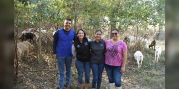 Analiza UAT innovaciones de mejoramiento para la producción caprina