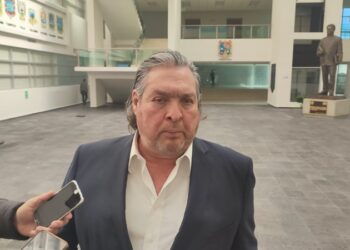 Apoya Movimiento Ciudadano desaparición de diputados pluris