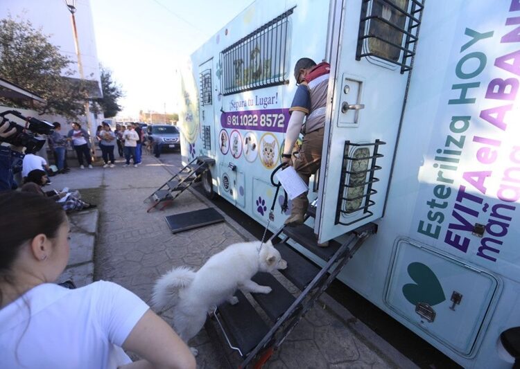 Arranca en NLD sexta campaña municipal de esterilización gratuita