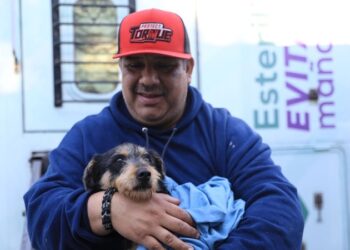 Arranca en NLD sexta campaña municipal de esterilización gratuita