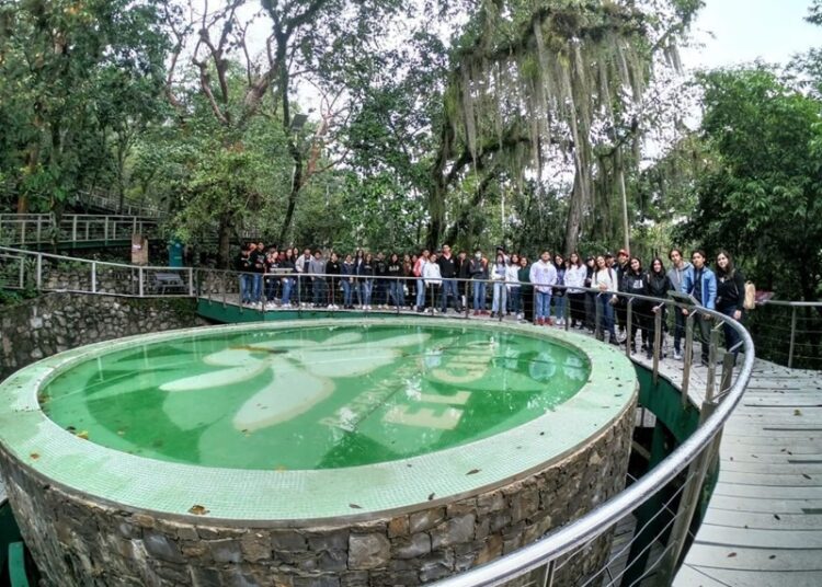 Celebra el “Día de la Familia” en los parques de la Comisión