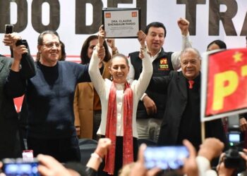 Se desploma núm. de mariposas monarca en lugares de hibernación en México