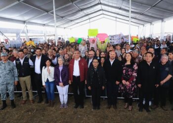 “En Tamaulipas condiciones de seguridad mejoran; delitos van a la baja” : Rosa Icela