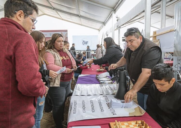 Estrategias para la construcción de la Paz en Reynosa