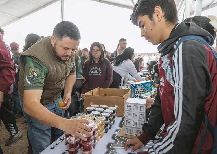 Estrategias para la construcción de la Paz en Reynosa