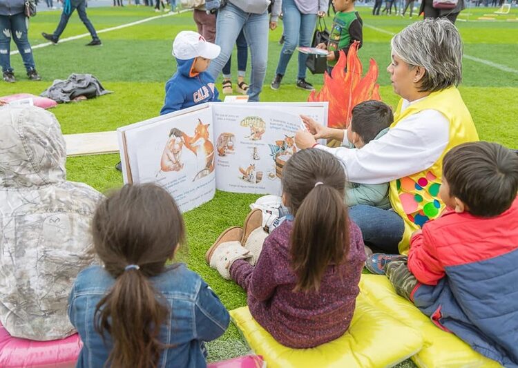 Estrategias para la construcción de la Paz en Reynosa