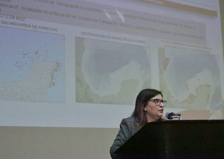 Exploran coexistencia entre arrecifes artificiales y extracción de hidrocarburos