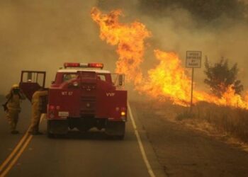 Plan de transición climática exige 2.4 billones de dólares al año: ONU