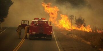 Plan de transición climática exige 2.4 billones de dólares al año: ONU