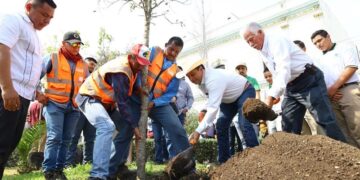 Participan sociedad y gobierno en la reforestación de Victoria