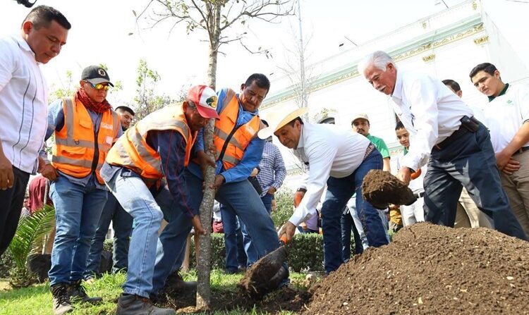 Participan sociedad y gobierno en la reforestación de Victoria