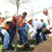 Participan sociedad y gobierno en la reforestación de Victoria