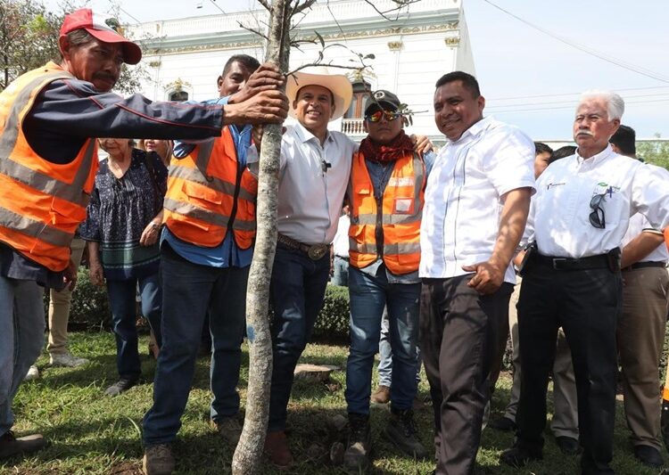 Participan sociedad y gobierno en la reforestación de Victoria