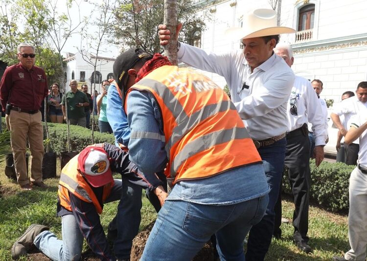 Participan sociedad y gobierno en la reforestación de Victoria