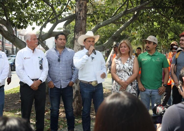 Participan sociedad y gobierno en la reforestación de Victoria