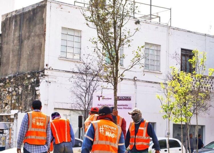 Participan sociedad y gobierno en la reforestación de Victoria